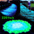 Glow In The Dark Pebbles