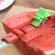 Watermelon Windmill Cutter